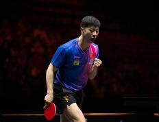 乐鱼体育app-瑞典乒乓球队完胜法国乒乓球队，马龙高光表现的简单介绍