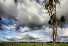 乐鱼 vip 注册-法国队完胜瑞典队，樊振东状态火热