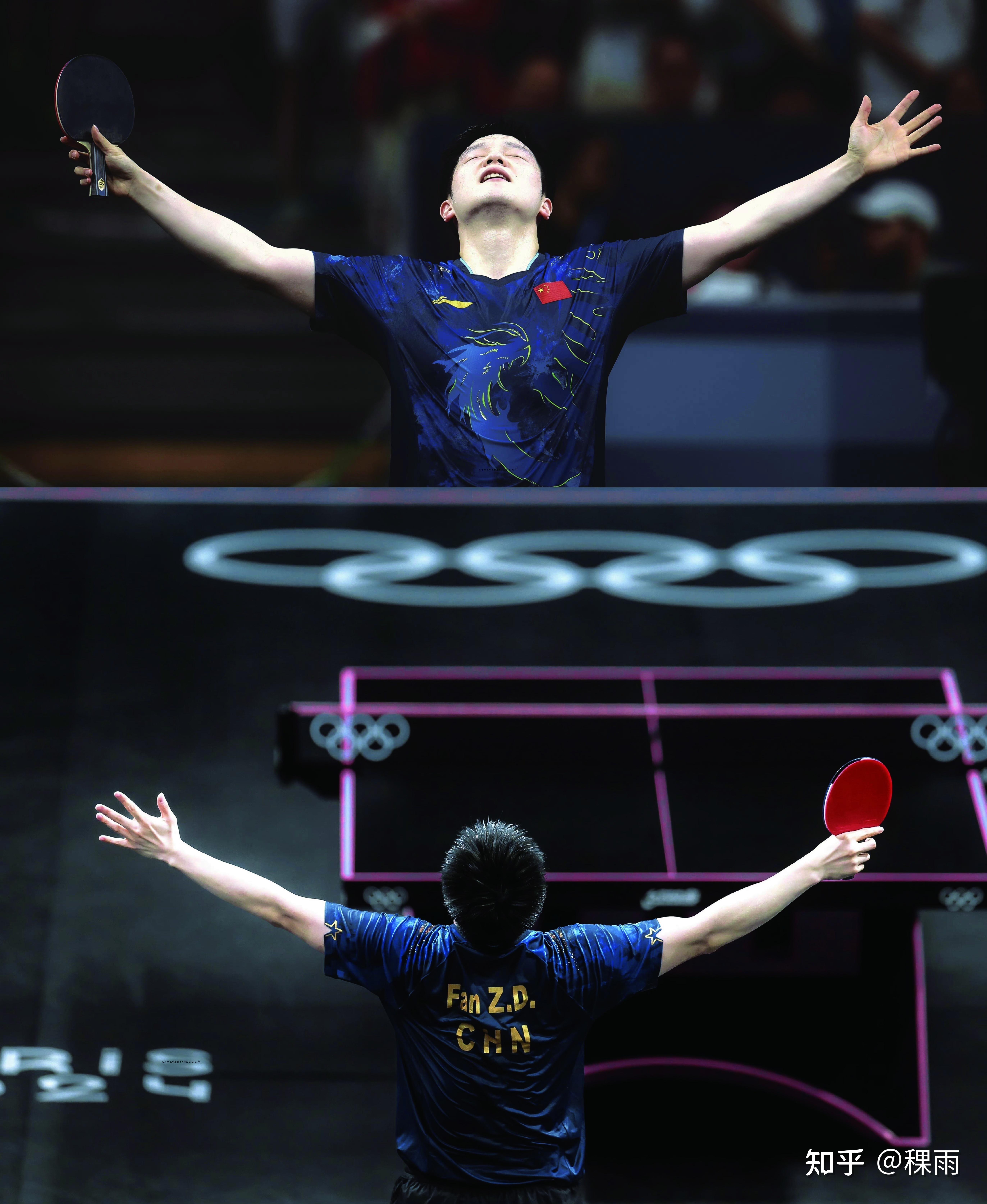 乐鱼-比利时乒乓球队完胜法国乒乓球队,樊振东高光表现的简单介绍